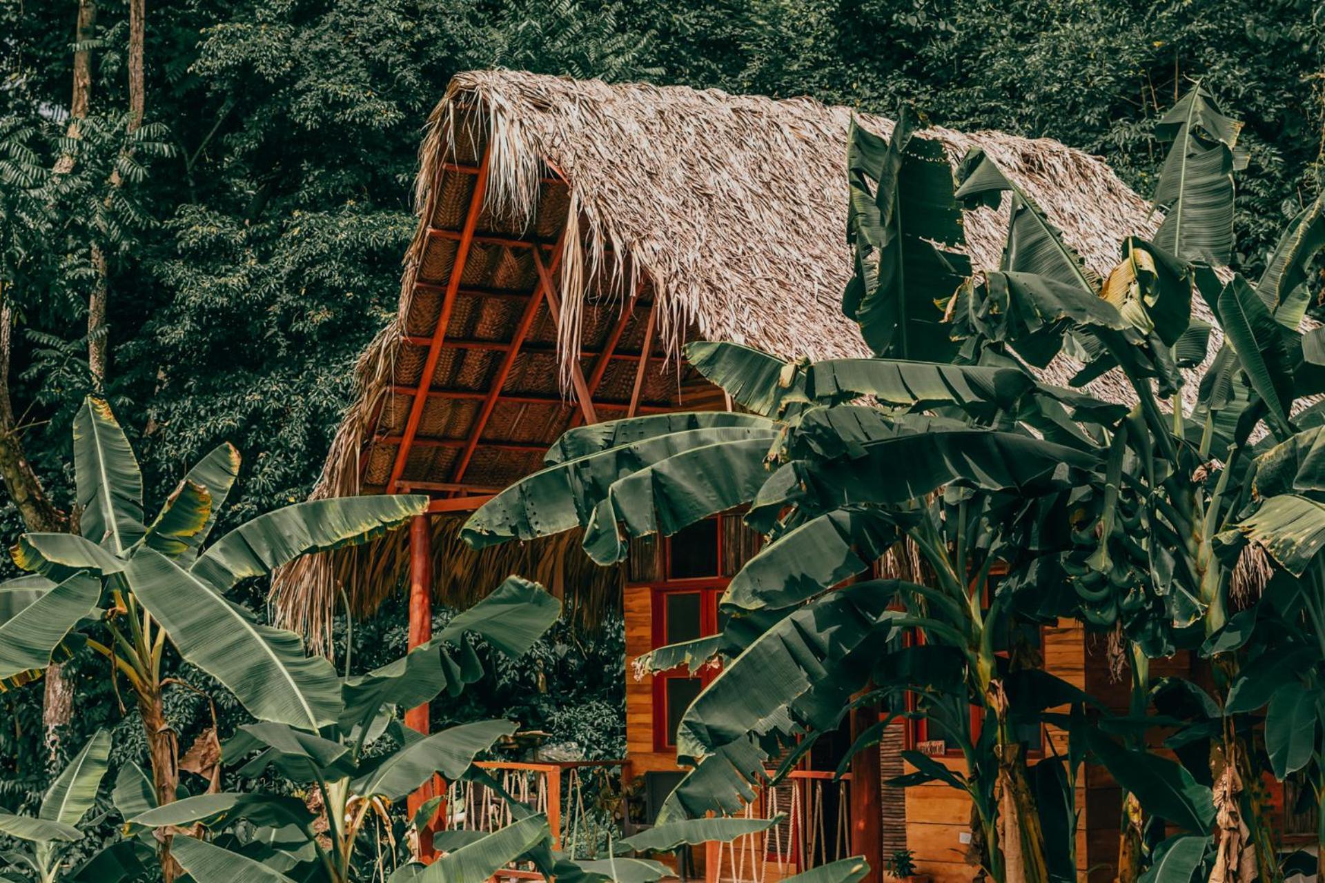 Magic Green Dentro Del Parque Tayrona El Zaino Exterior foto