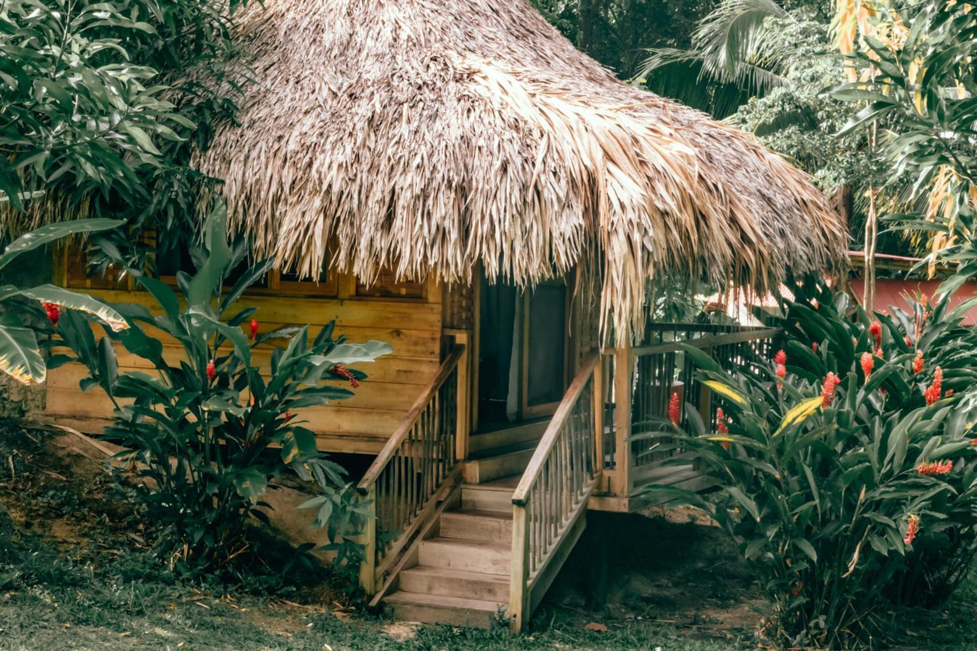 Magic Green Dentro Del Parque Tayrona El Zaino Exterior foto